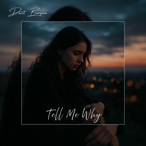 Tell Me Why (Vocal Version) - Davit Barqaia