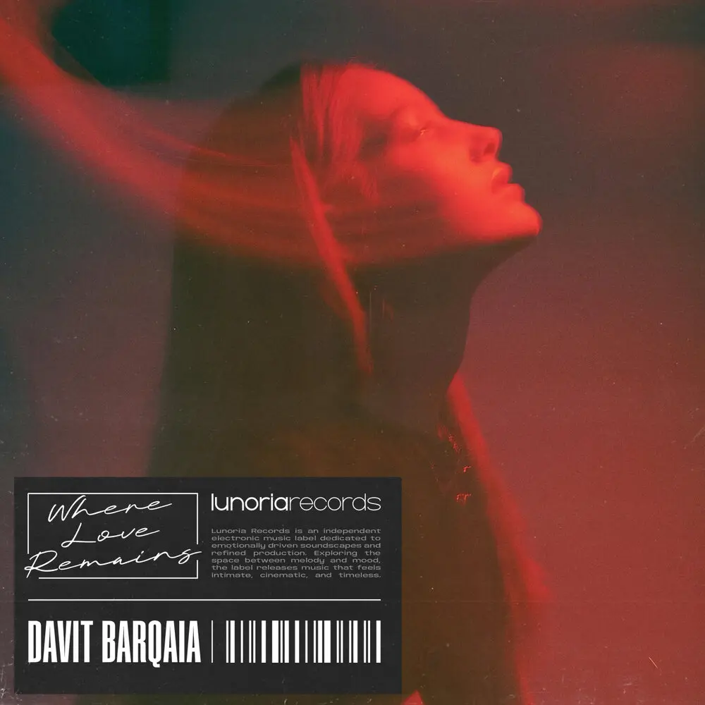 Where Love Remains - Davit Barqaia