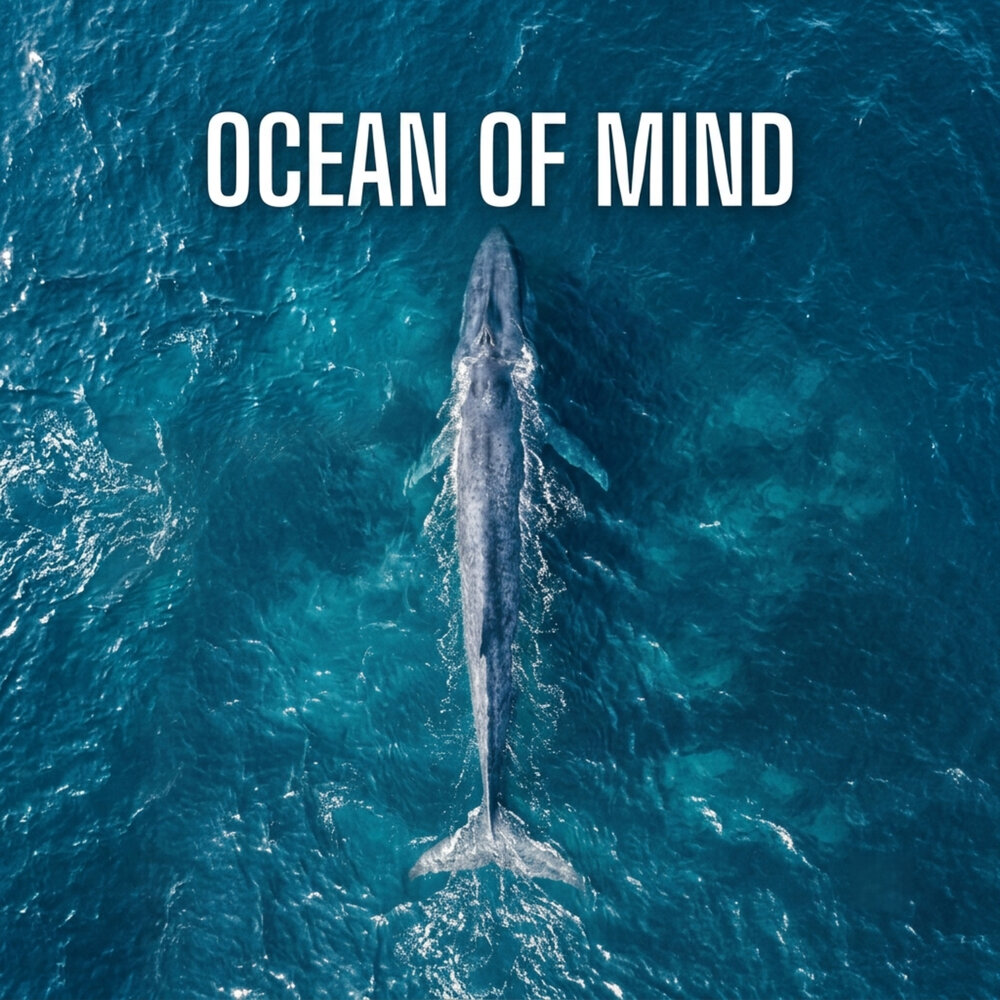 Ocean of Mind - davodavo, Mon Ami Music