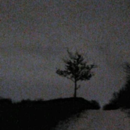 DAYERTEQ - Венерический букетик (Old Version)