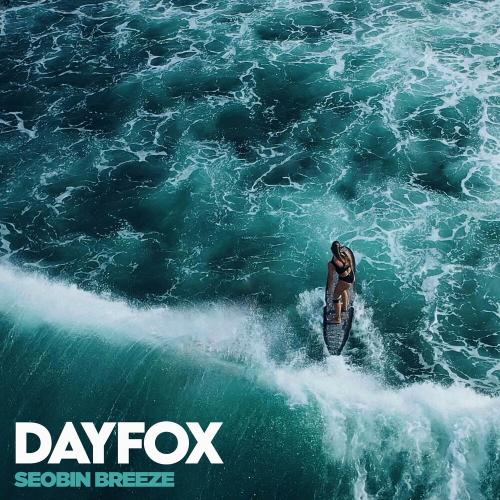 DayFox - Seobin Breeze