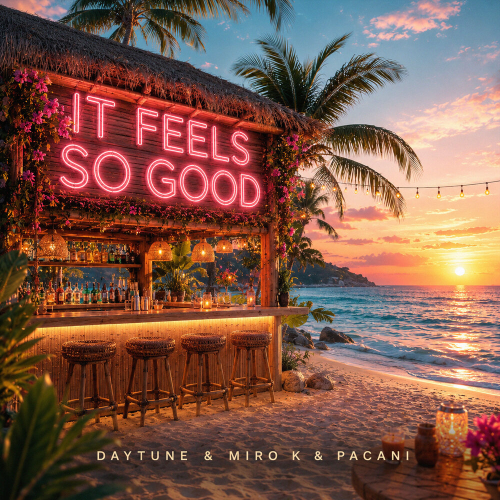 It Feels So Good - Daytune, Miro k, PACANI