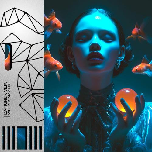 Daytune, VILIA - Where Is My Mind？