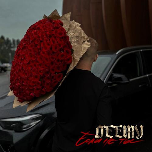 DEEMY - Если не ты