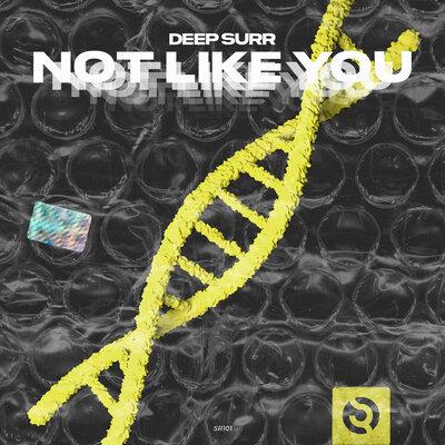 Deep Surr - Not Like You (Radio Edit)