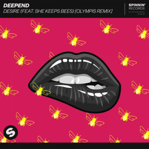 Deepend feat. She Keeps Bees - Desire (Olympis Remix)
