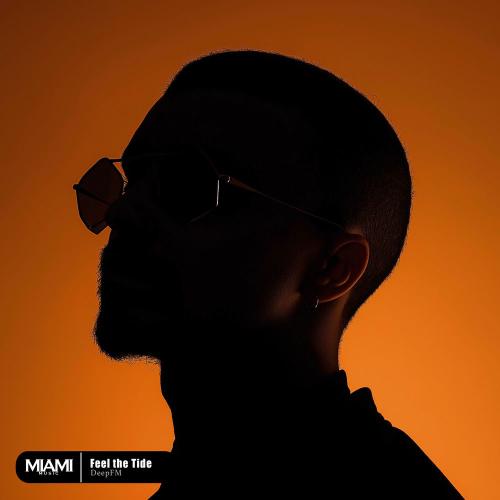 DeepFM - Feel The Tide