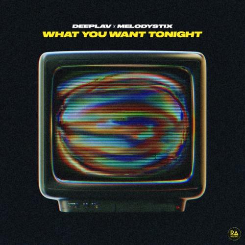 Deeplav & MelodystiX - What You Want Tonight