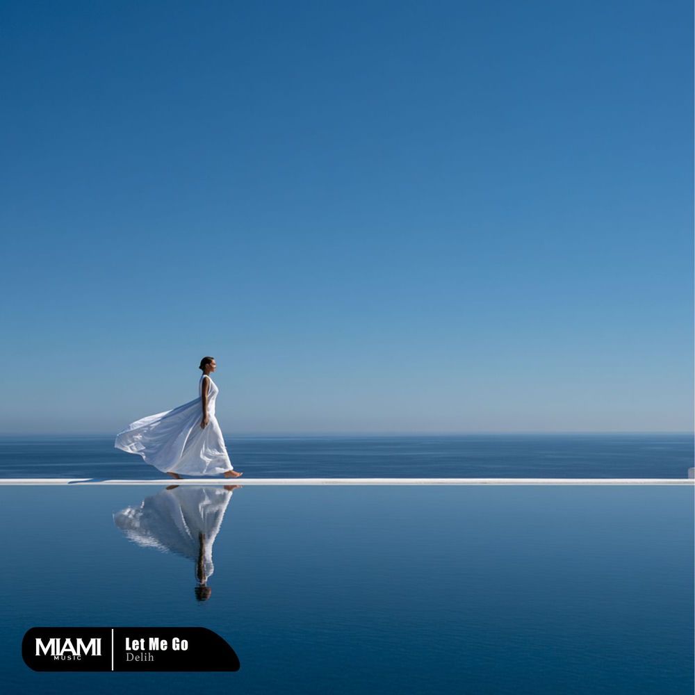 Let Me Go - Delih