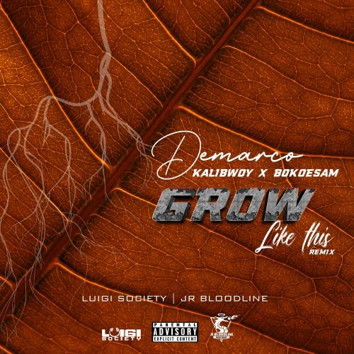 Demarco, Kalibwoy & Bokoesam feat. Luigi Society & JR Bloodline - Grow Like This (Remix)