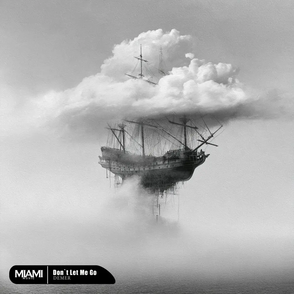 Don`t Let Me Go - DEMER