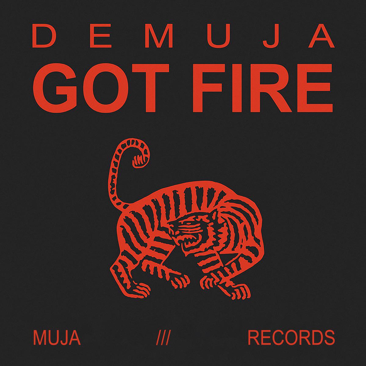Got Fire - Demuja