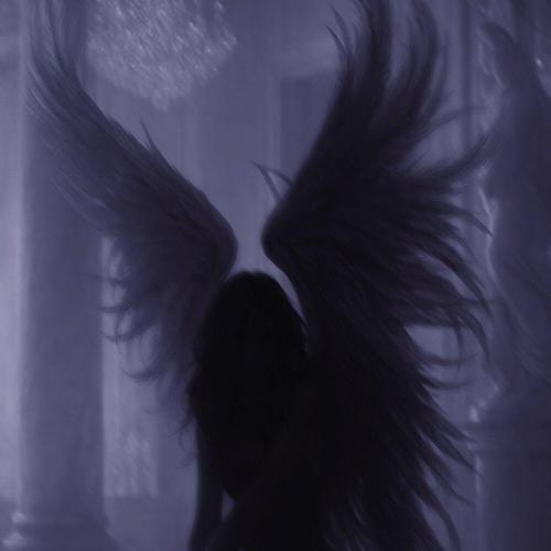 DENIMRAK - Angel & Demons