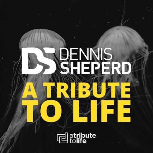 Dennis Sheperd - A Tribute To Life (Martin Roth Remix)