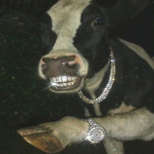 DEPVRTXT - COW BELL
