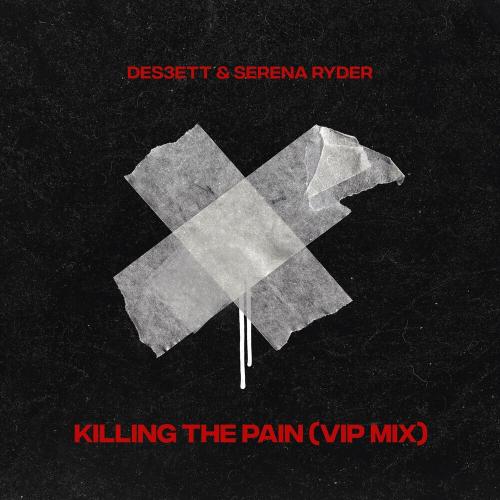 Des3Ett feat. Serena Ryder - Killing The Pain (VIP Mix)