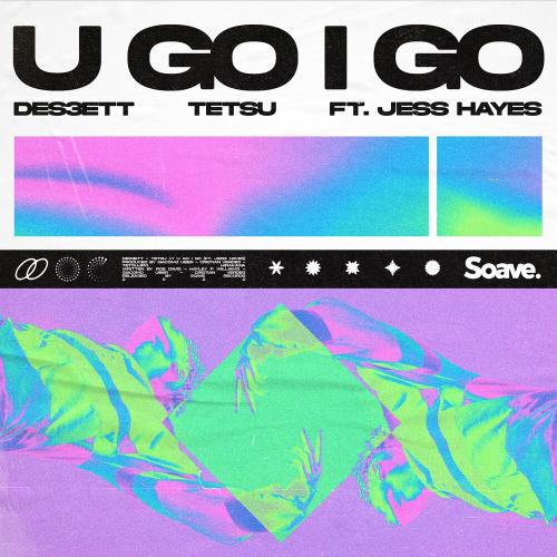 Des3ett & Tetsu feat. Jess Hayes - U Go I Go