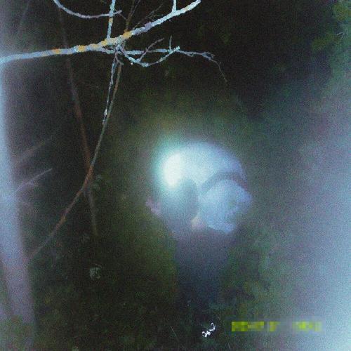 Меня не услышат - destroy sally