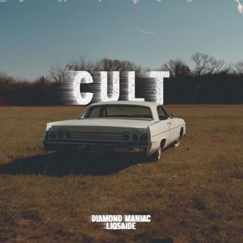 Diamond Maniac & LIQSAIDE - Cult
