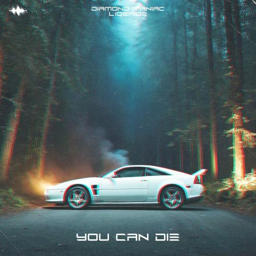 Diamond Maniac, LIQSAIDE - You Can Die