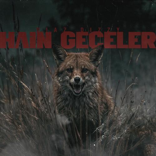 Hain Geceler - Diaz Dizzy