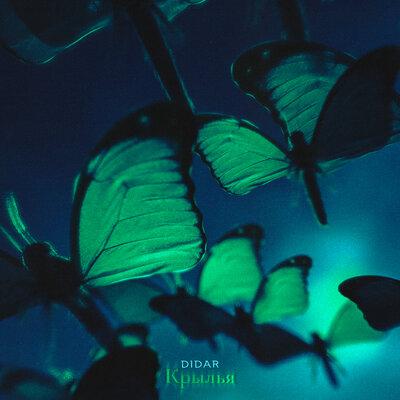 Крылья - Didar