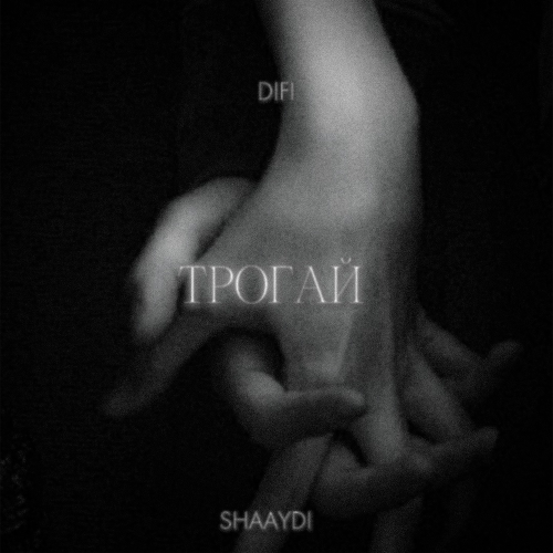 DIFI, Shaaydi - Трогай