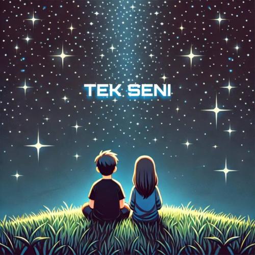 digidai - Tek seni