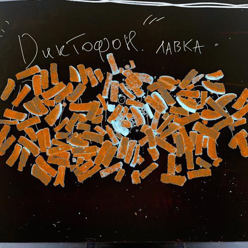 Лавка - Диктофон
