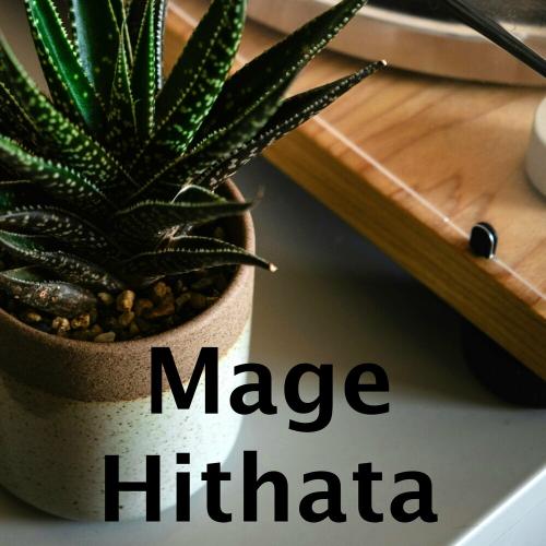 Mage Hithata - DILAKSHA & Düş Sokağı Sakinleri