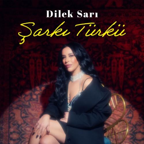 Şarkı Türkü - Dilek Sarı