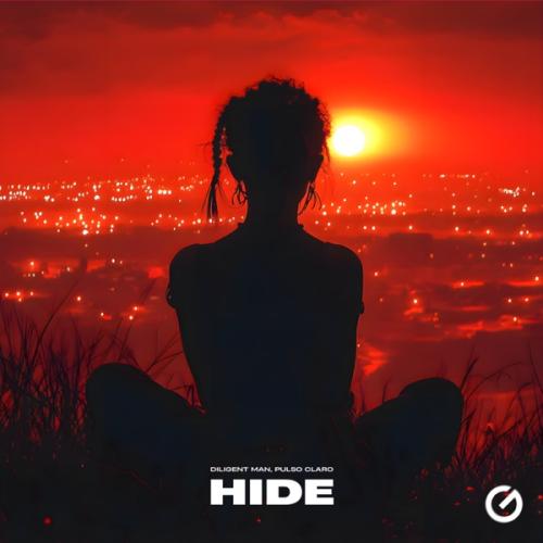 Diligent Man & Pulso Claro - Hide
