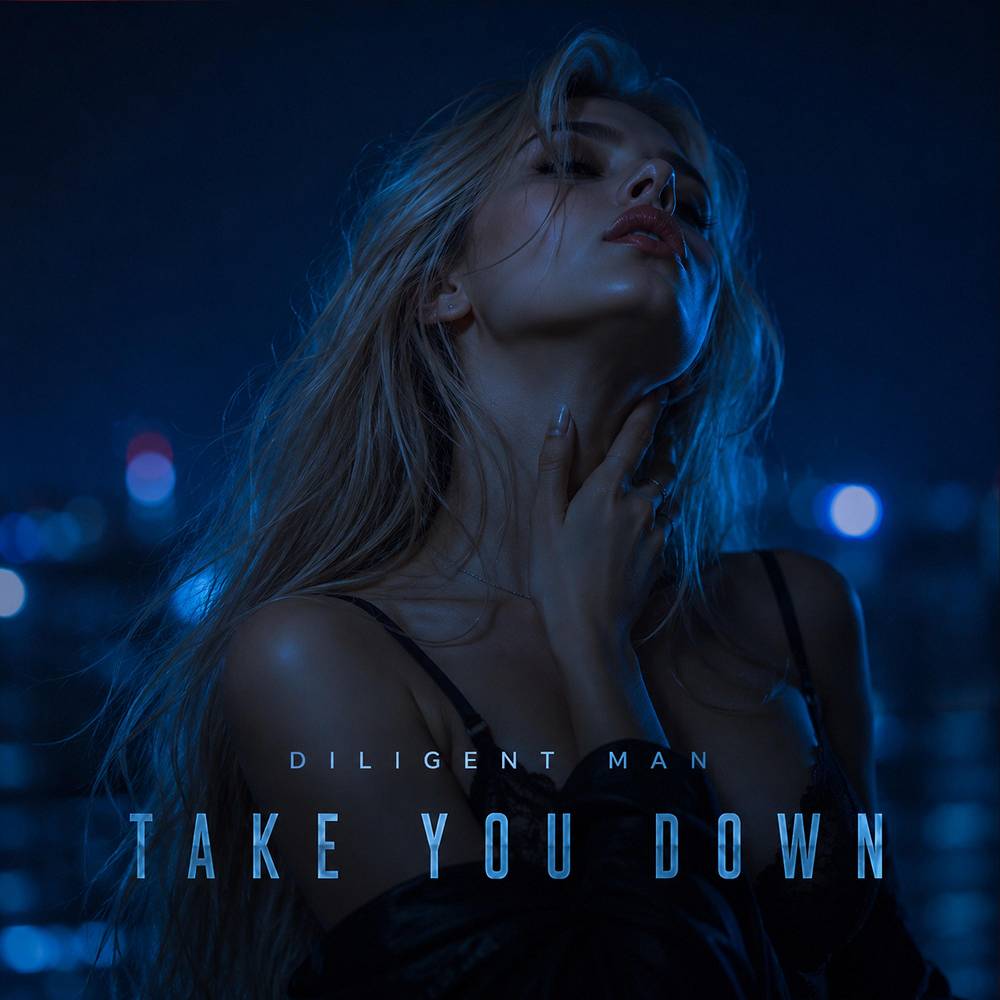 Take You Down - Diligent Man