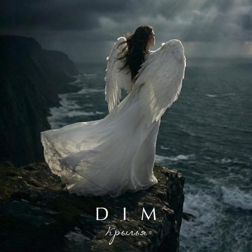 DIM - Крылья