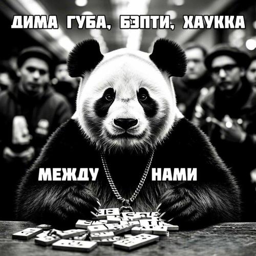 Дима Губа, Бэпти, Хаукка - Между нами