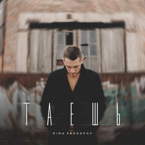 Dima Prokopov - Таешь