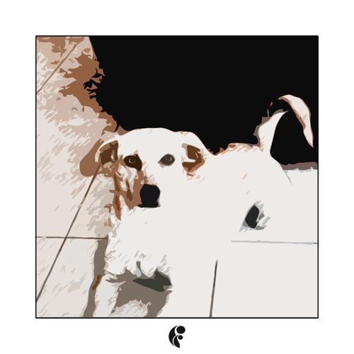 Dimatis - Quity
