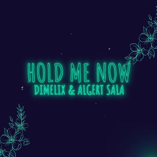 Dimelix & Algert Sala - Hold Me Now