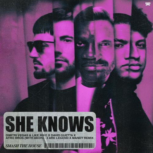 Dimitri Vegas & Like Mike feat. David Guetta & Afro Bros & Akon - She Knows (3 Are Legend & Mandy Remix)