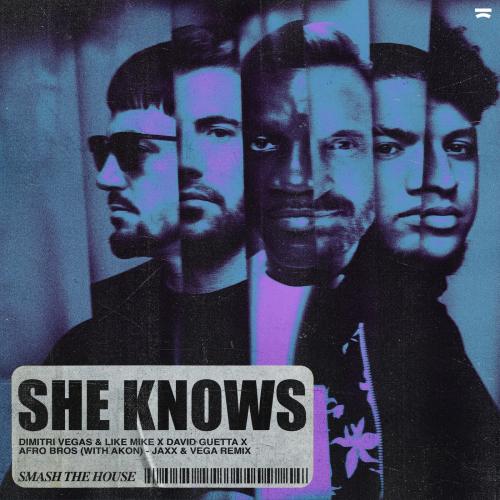 Dimitri Vegas & Like Mike feat. David Guetta & Afro Bros & Akon - She Knows (Jaxx & Vega Remix)