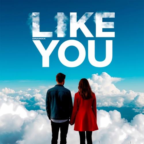 Dinamixx - Like You