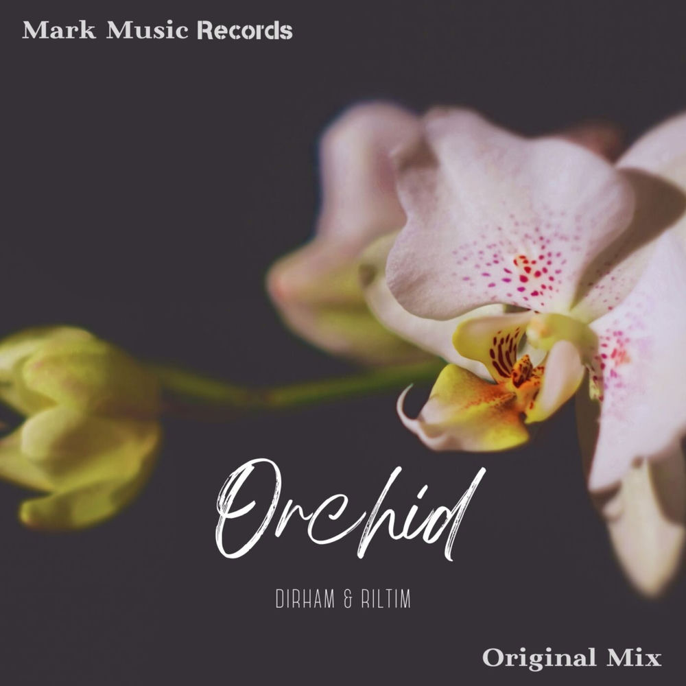 Orchid - Dírham & RILTIM