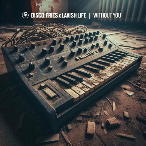 Disco Fries feat. Lavish Life - Without You