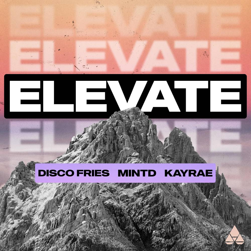 Disco Fries & Mintd & Kayrae - Elevate (Extended Mix)