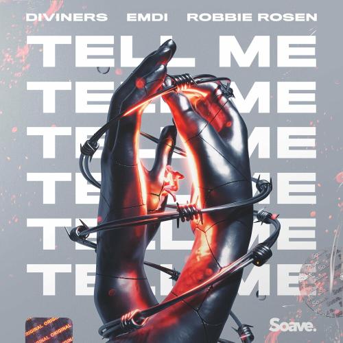 Diviners feat. Emdi x Robbie Rosen - Tell Me