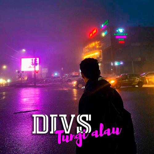 DIVS - Tungi alau