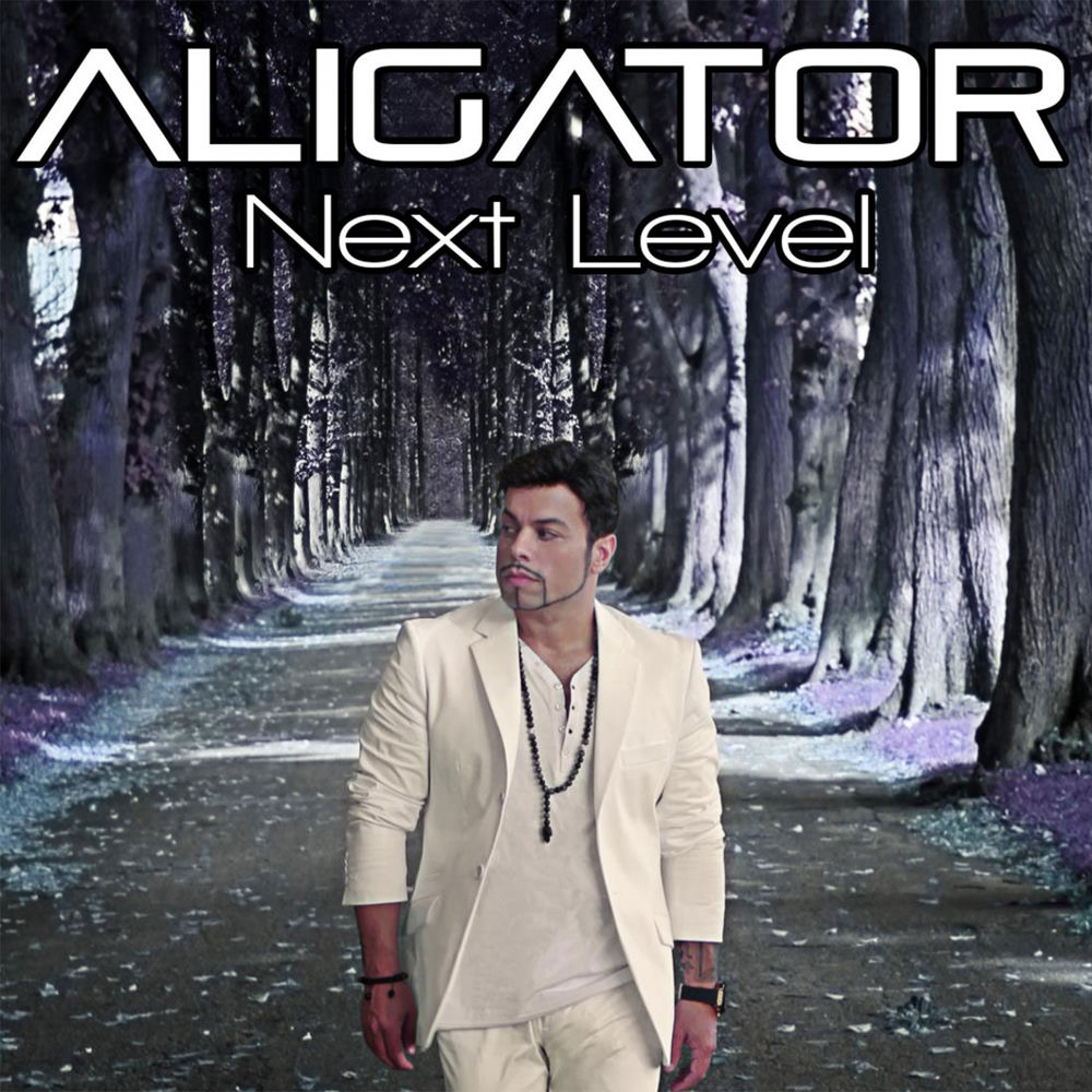 The Perfect Match - DJ Aligator feat. Daniel Kandi