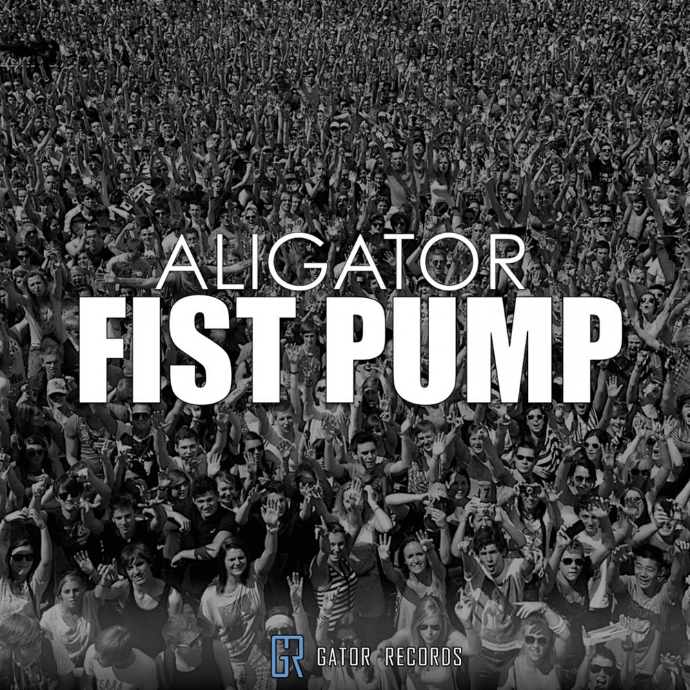 Fist Pump (Dax Remix) - DJ Aligator