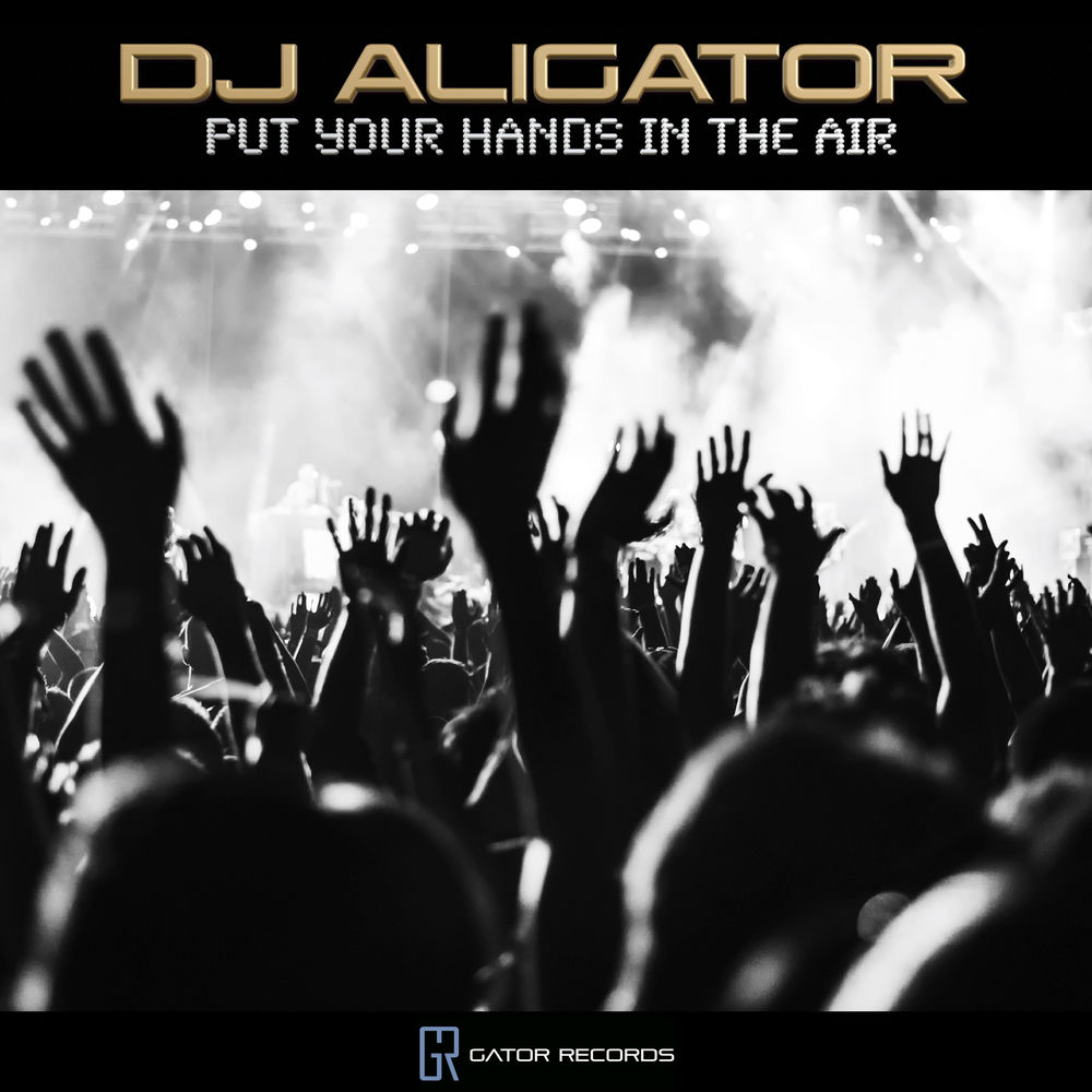 Put Your Hands In The Air - DJ Aligator
