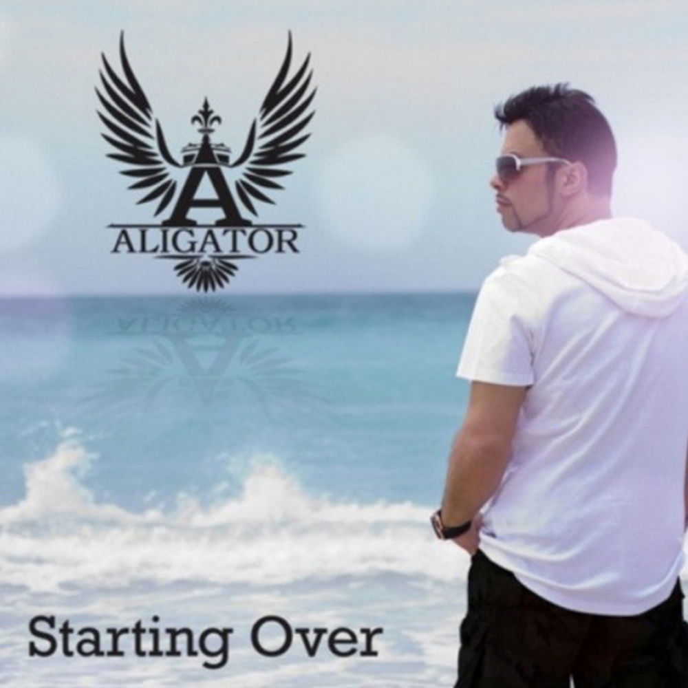 Starting Over (Radio Edit) - DJ Aligator